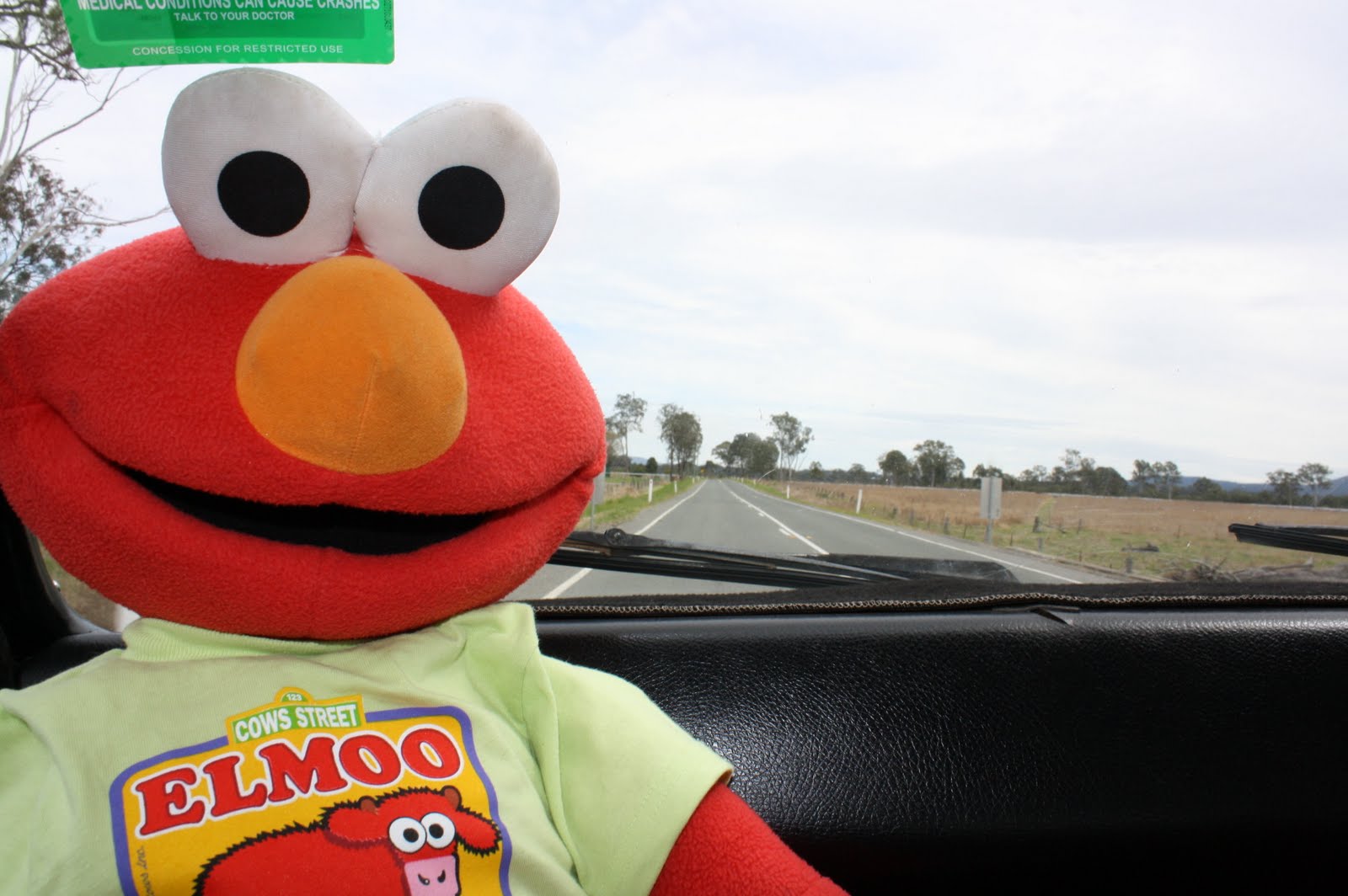 Elmo's World Trip! Elmo goes on a car cruise