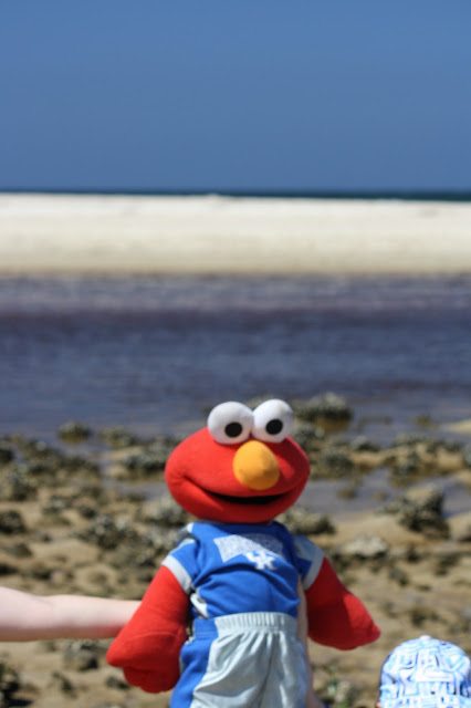 Elmo's World Trip!: Elmo had a family day at the beach.