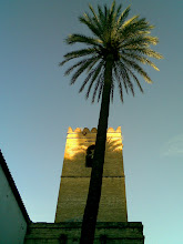 Alminar y palmera. Sevilla