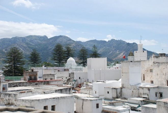 Vista parcial de la medina de Tetuán, con las montañas del Rif al fondo. Reino de Marruecos.