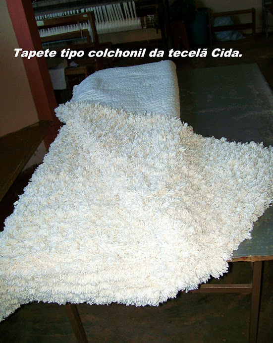 Tapetes Peludos tipo Colchonil