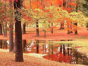 Photographs Of Trees. Fall Landscape Red Trees