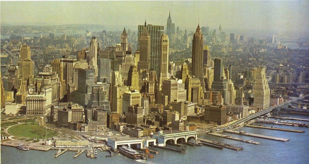 Hunting Dogs, Bird Dogs, Gun Dogs - Dog Supplies, Articles