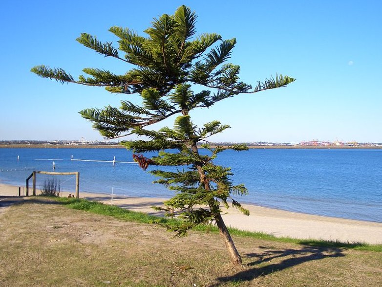 Sydney City and Suburbs Kyeemagh, Cook Park