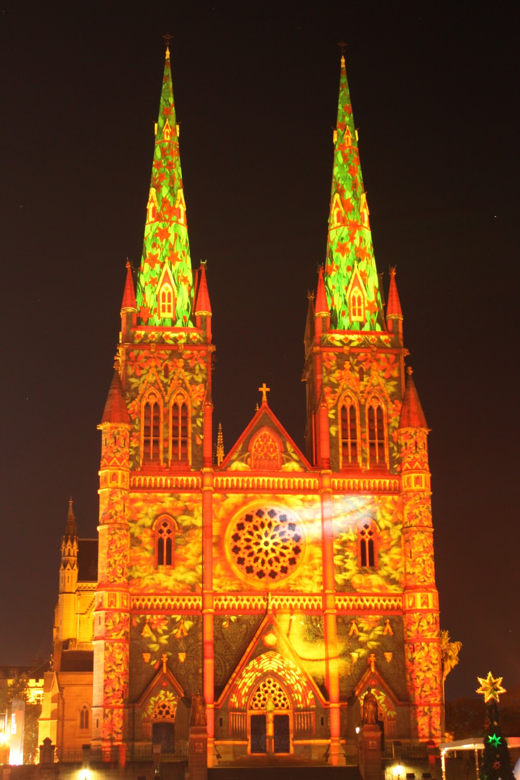 Sydney City and Suburbs St Mary's Cathedral, Lights of Christmas