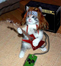 Rock On Kitty