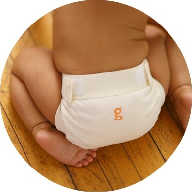 [gdiaper.jpg]