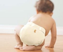 [gdiaper.bmp]