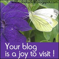 Blog award from Doda