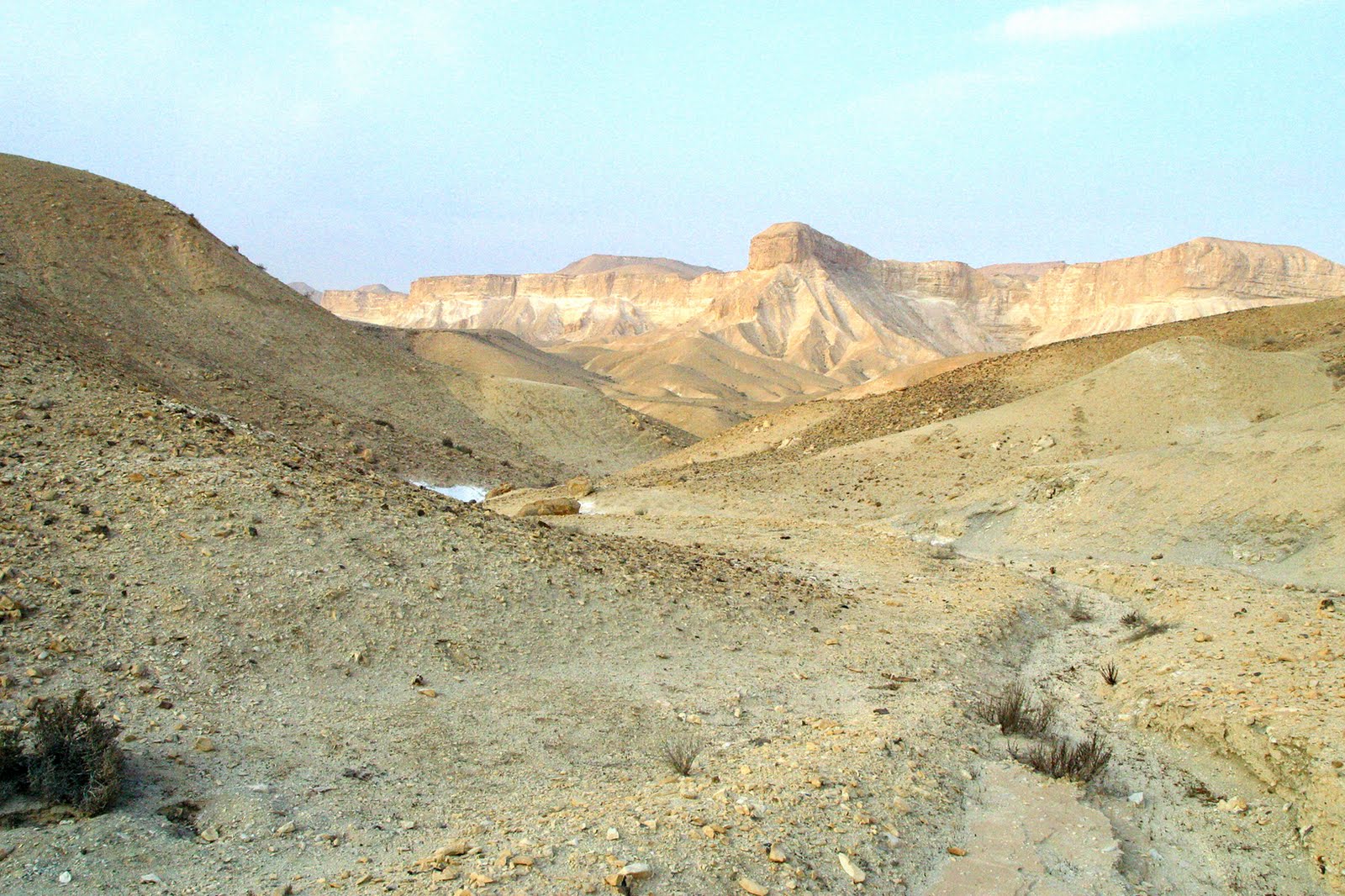 Il deserto del Negev, scatola di