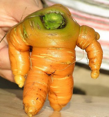 Buzz-Lightyear-carrot.jpg Buzz-Lightyear-carrot.jpg
