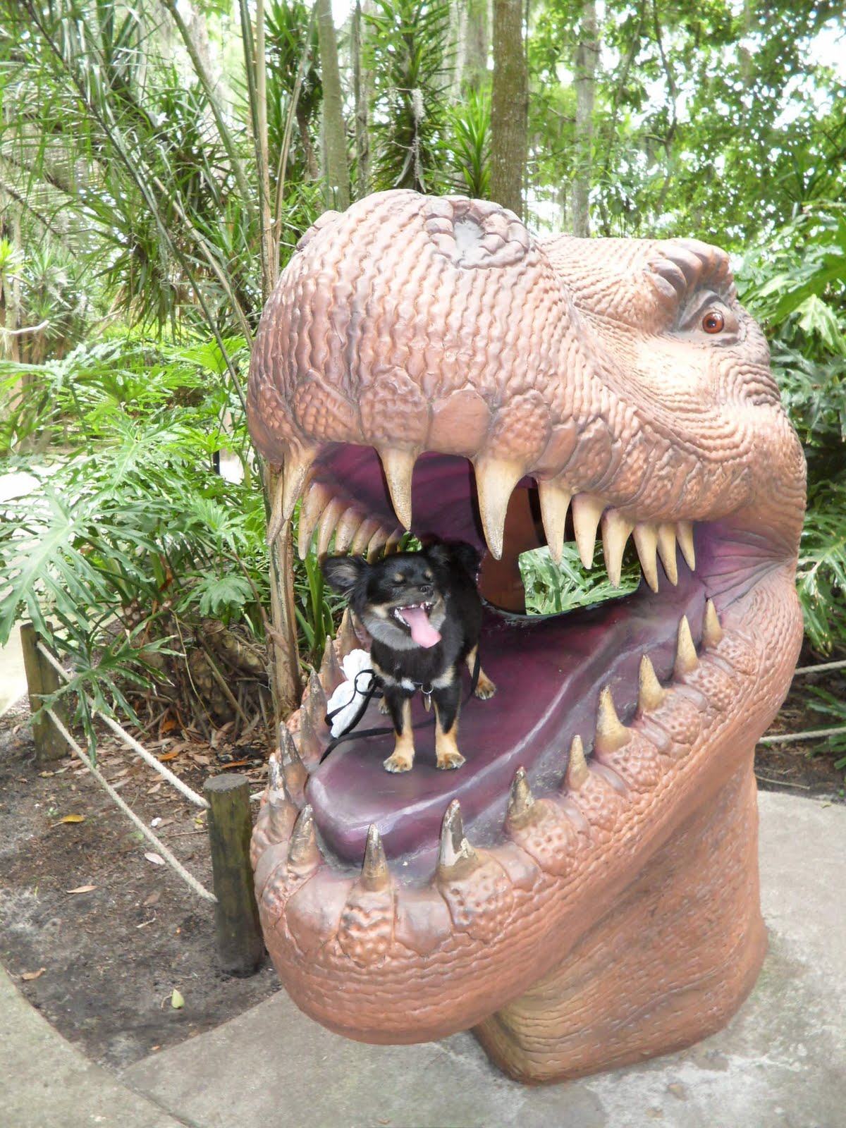 the dino world