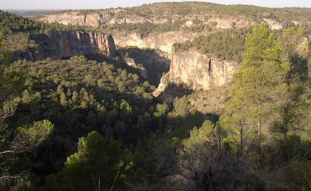 C.P. FELIX GRANDE: Visita a la Exposición el bosque