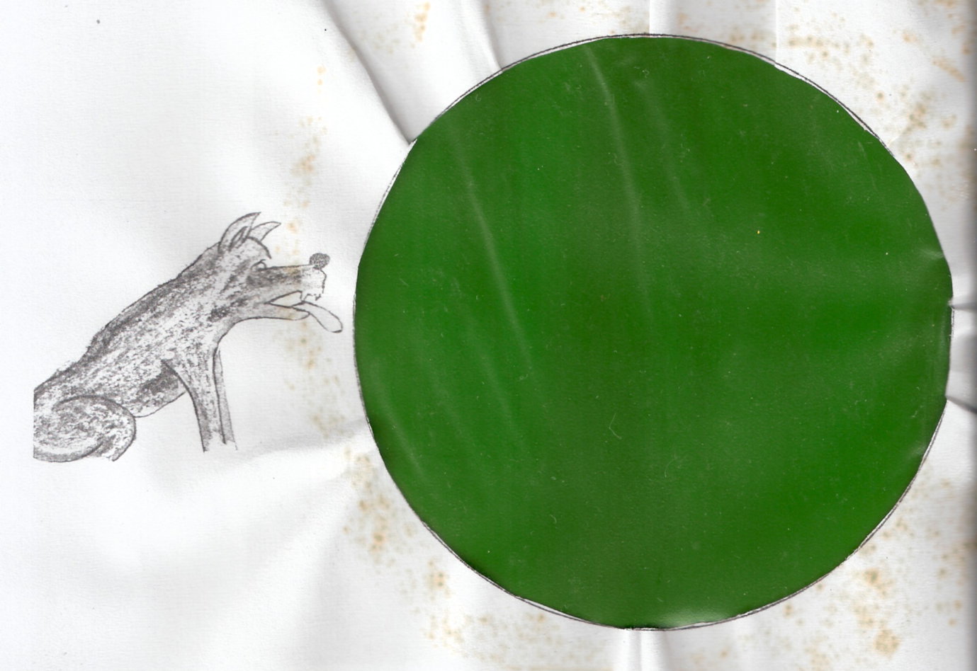 [ScannedImage-5.jpg]