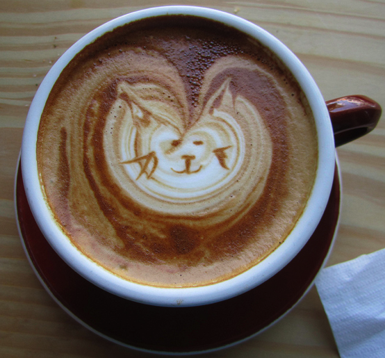 Catsparella: Warm Your Paws With A Cat Latte