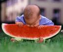 PEMBELAJARAN