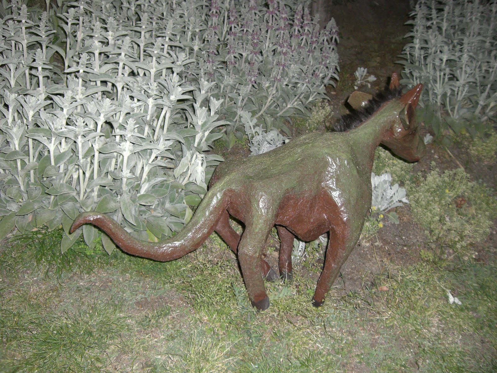 New species discovered: BREAKING NEWS: Mystery animals' existence confirmed