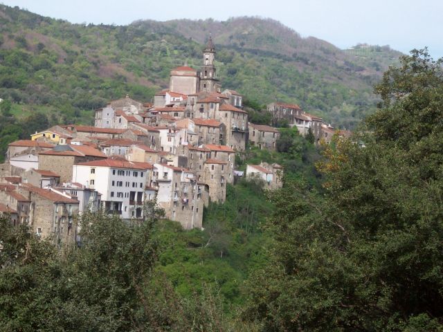 [1221448514_resized.jpg]