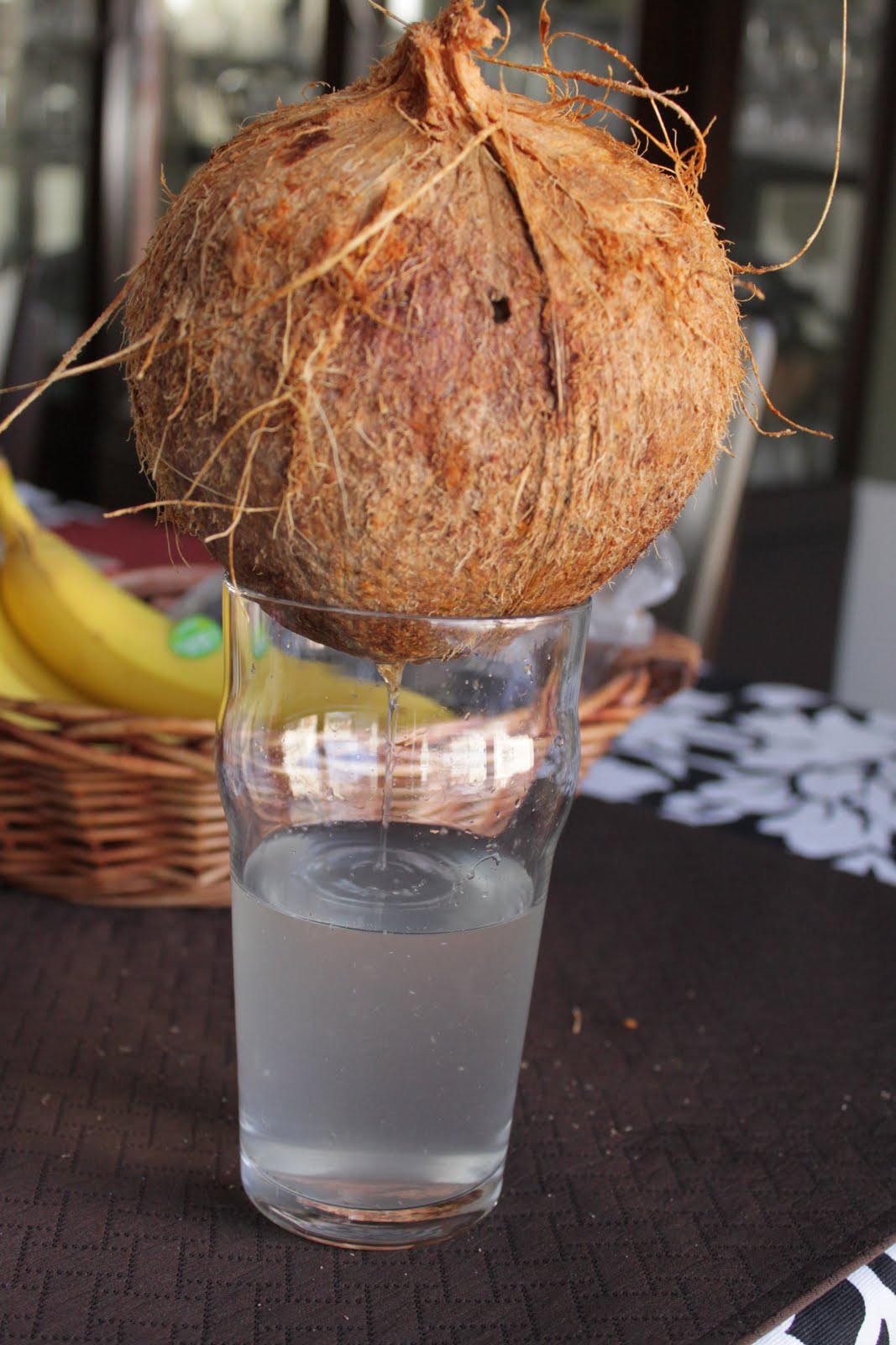 [coconut.JPG]