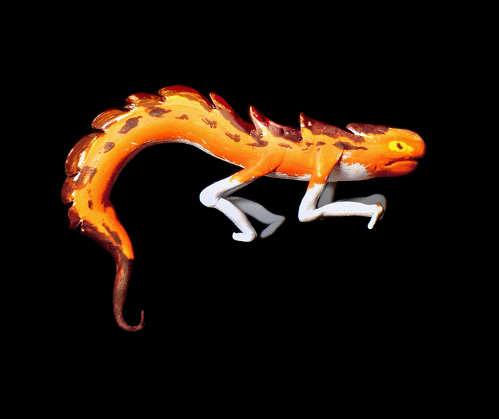 Огненная саламандра рисунок