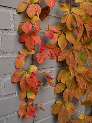 Fall Creeping In