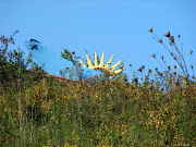  motyle i inne zwierzątka. 75 modnych wzorów. ptaki motyle