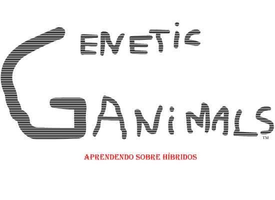 Genetic Animals