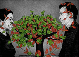 [Seike_Omukaisan.gif]