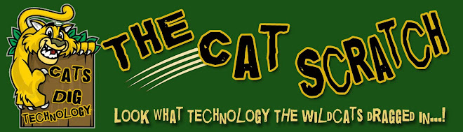 The Cat Scratch