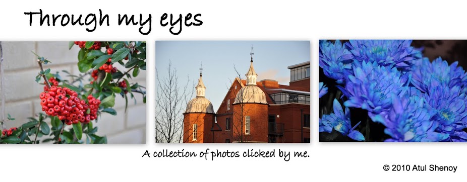 Through my eyes