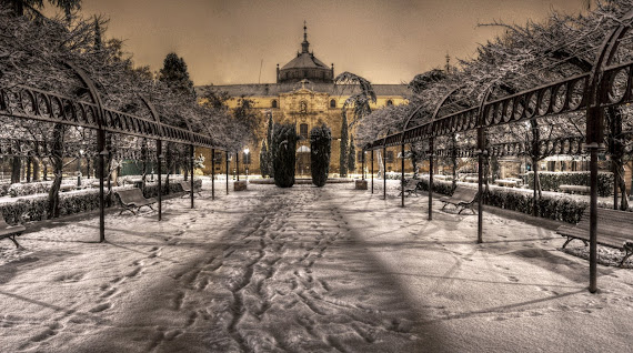 DETALLES TOLEDO