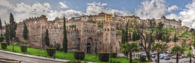 PUERTA DE ALFONSO VI