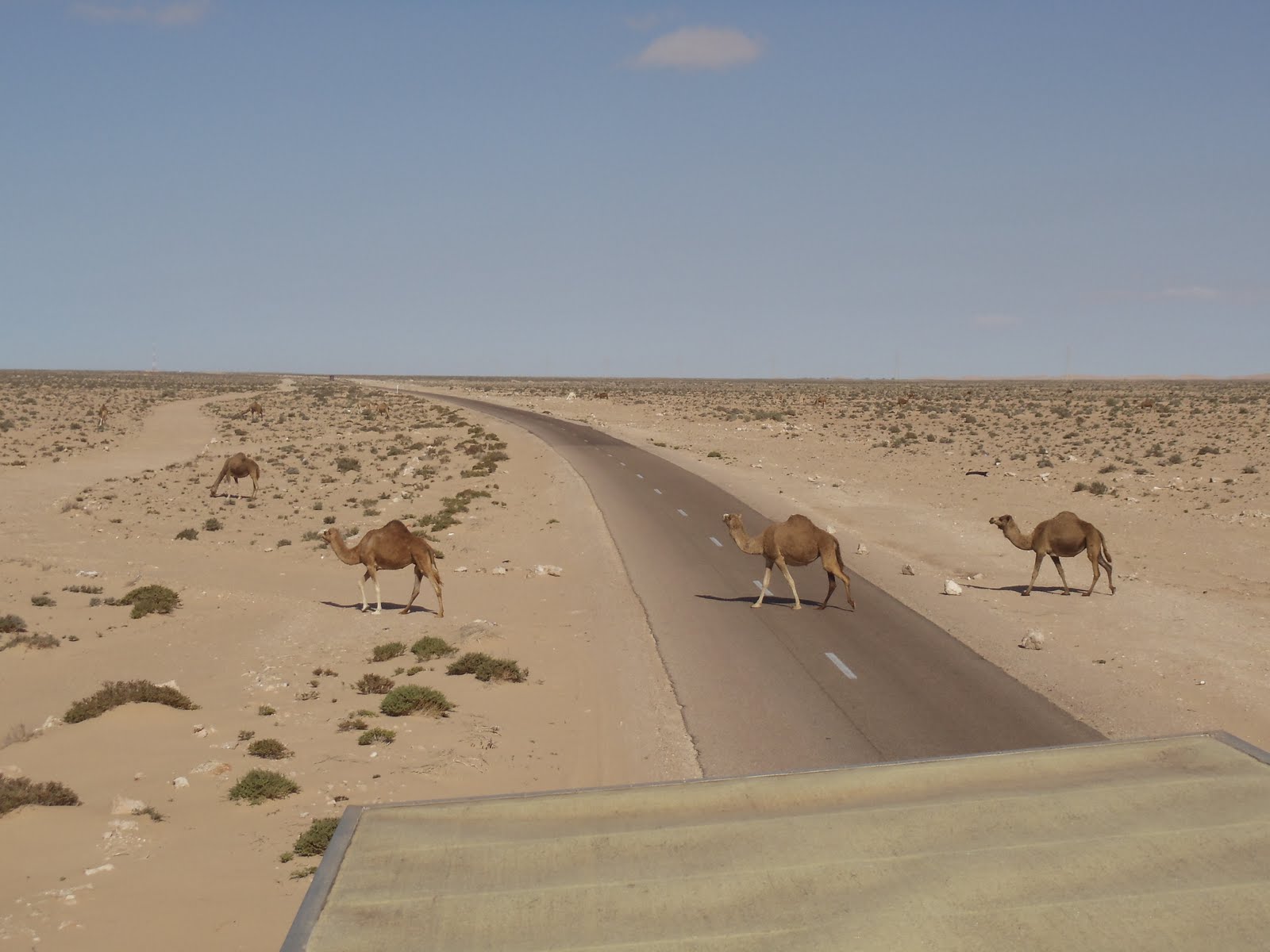 Beyond Adventure: Across the Mighty Sahara.