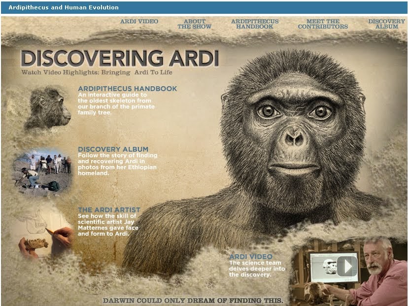 Описание внешности на англ. Татуировки на голове. Арди (ардипитек). Описание человека на английском. Gave a face.