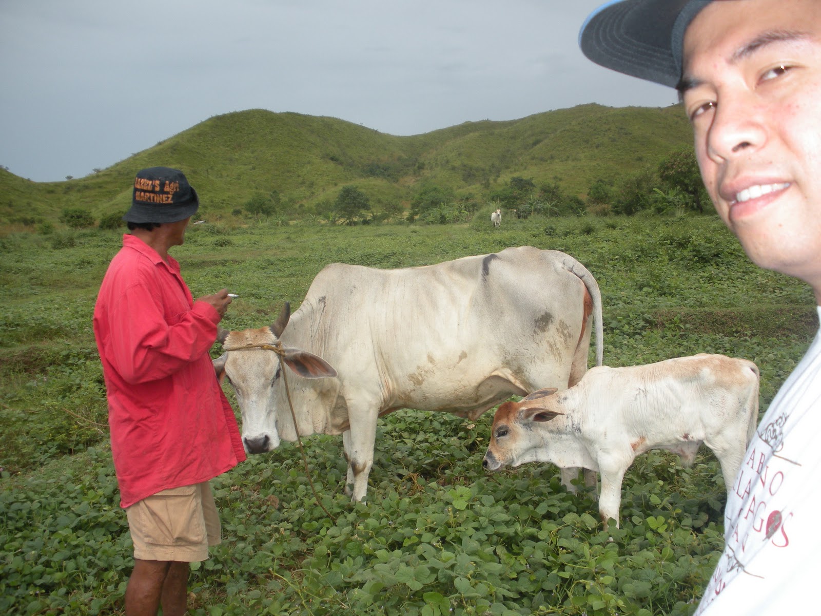 Philippines Cattle Raising Cattle Naming Convention