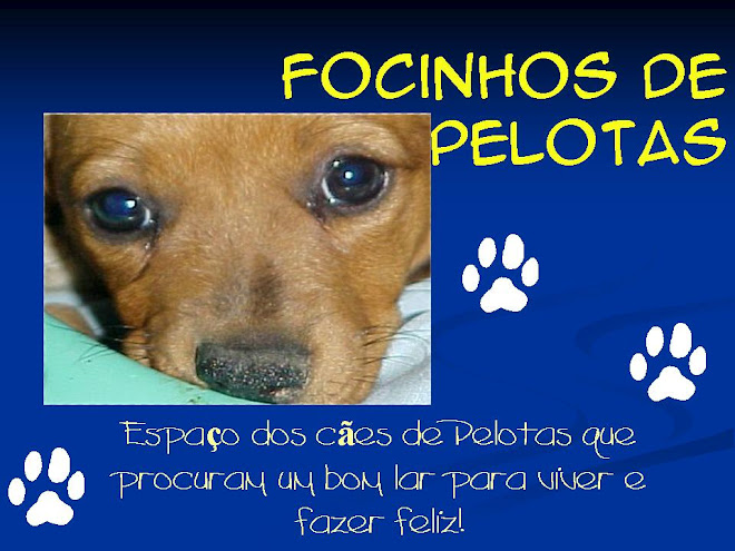 Adote Focinhos de Pelotas