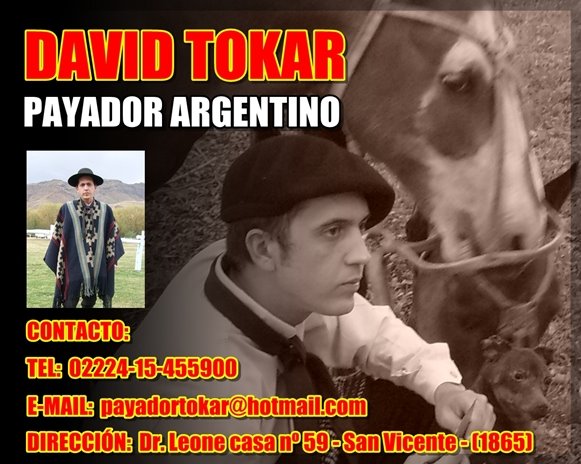 David Tokar - Payador Argentino