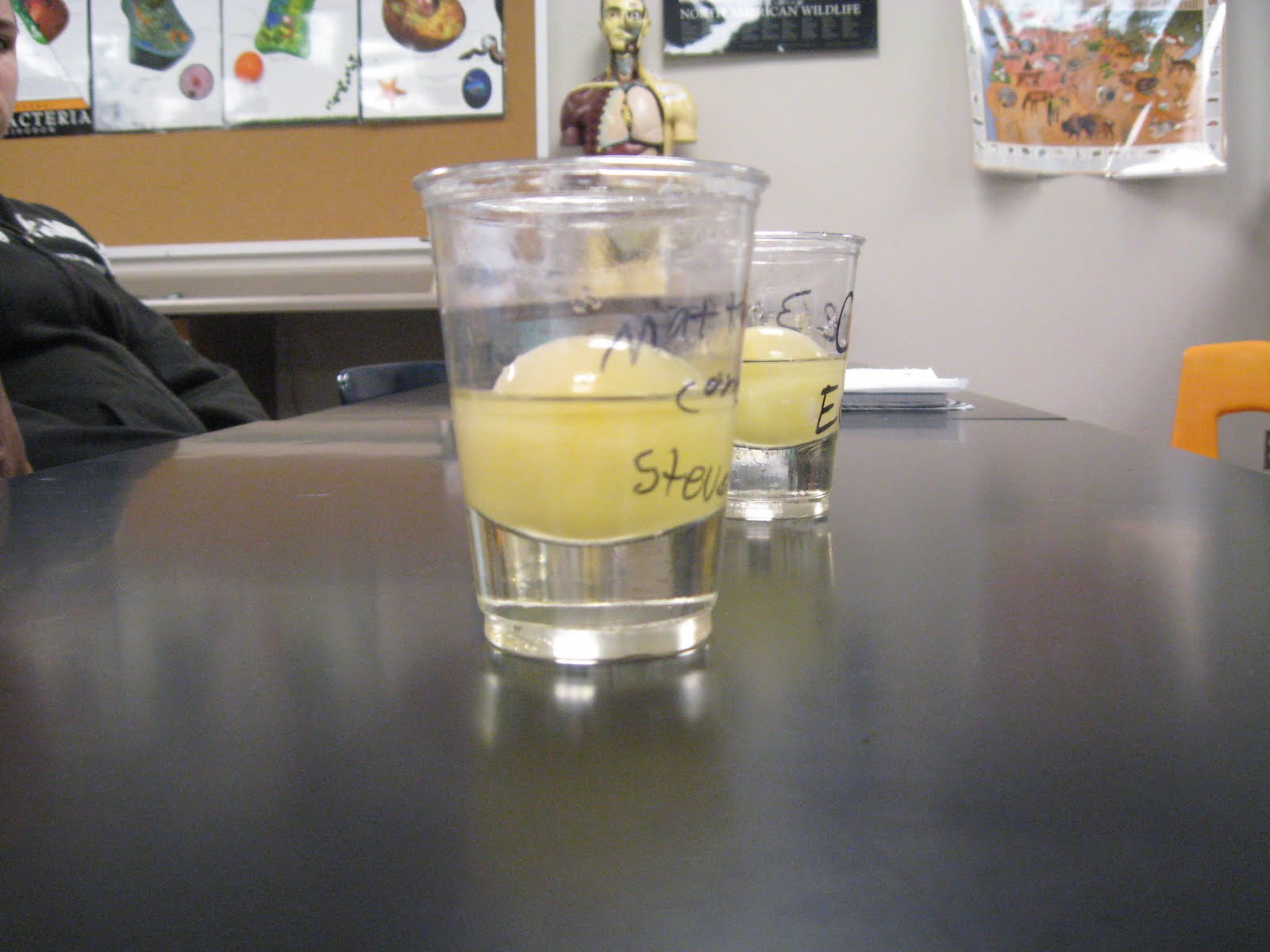 7C Science Osmosis Lab