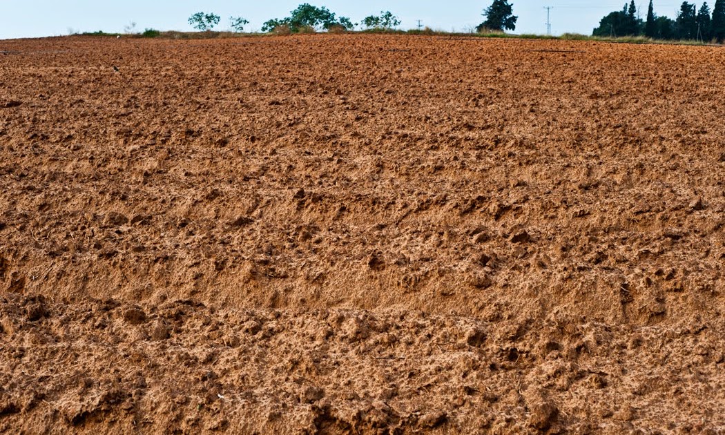 Pomage: Soil