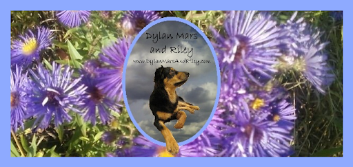 Dylan Mars And Riley / Daisy Dreams