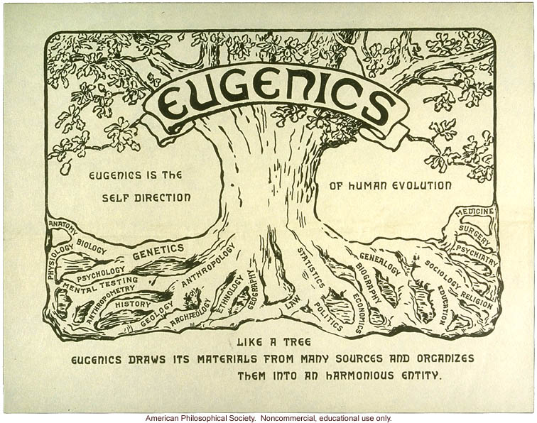 IMAGE(http://3.bp.blogspot.com/_YgSgFY90Vtc/TKWROz4IeAI/AAAAAAAAAAU/bbNYKREk4eE/s1600/233-Eugenics-tree-logo.jpg)