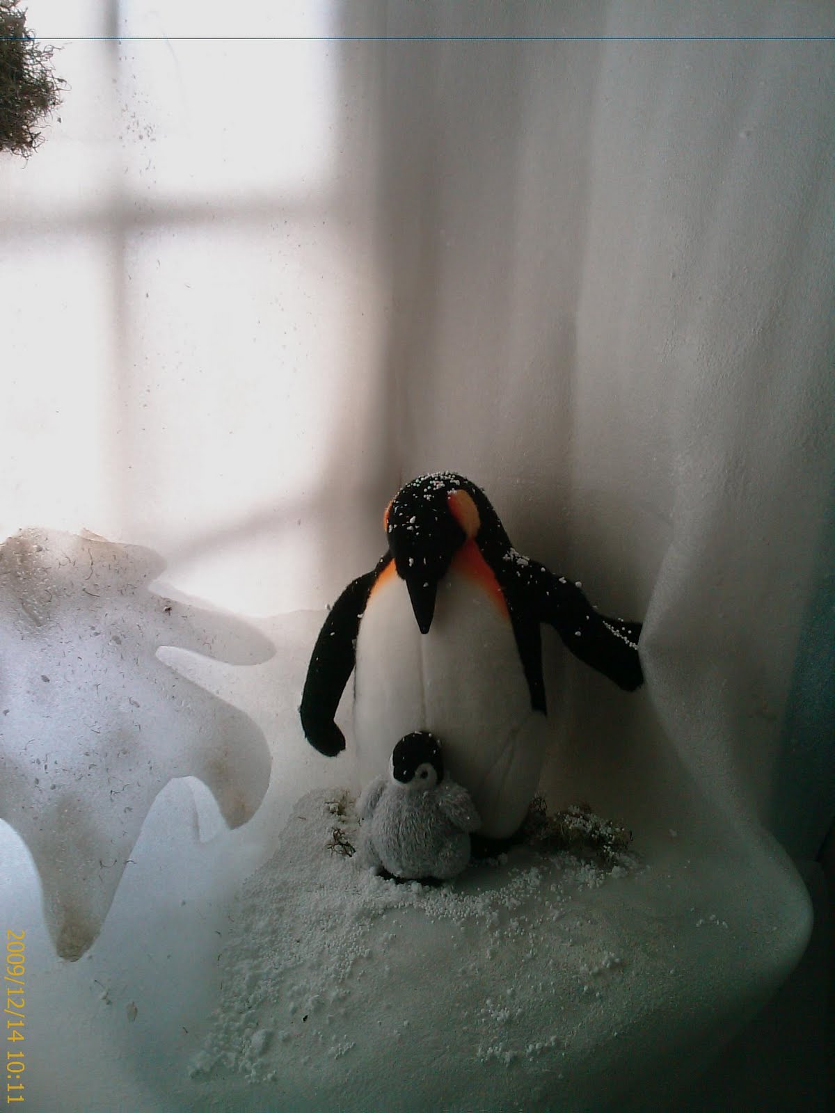 [2009+natal+(3).jpg]