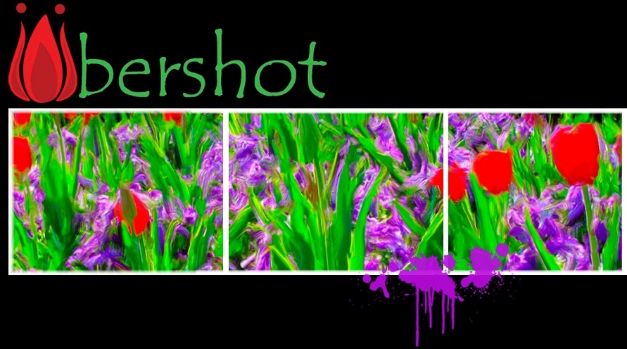 Ubershot