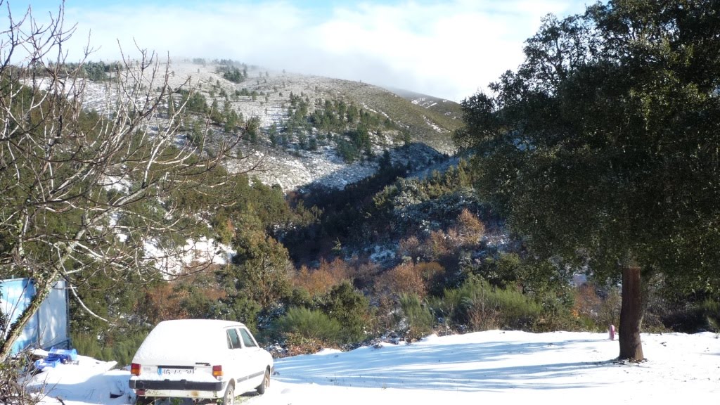 [neve+singral-3.JPG]