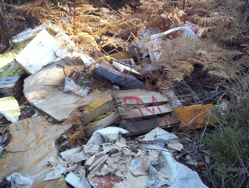 [entulho+singral7.jpg]