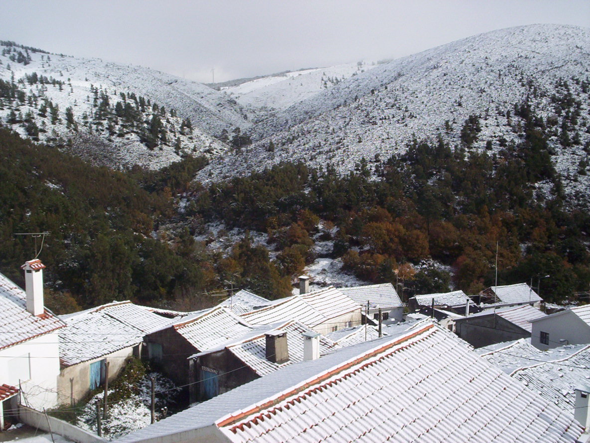 [Singral+1-12-2008-2.jpg]