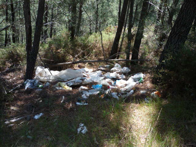 [atentado+ambiental4.jpg]