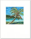 [blog-print_palm-view-webprint.jpg]