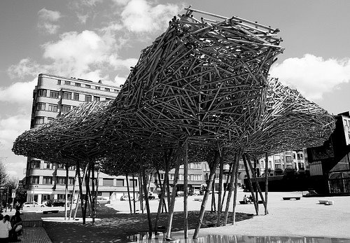 [2374629513_9582621f08.jpg]