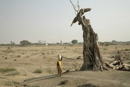 [2350574285_3e9b798771_o.jpg]